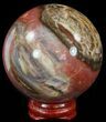 Colorful Petrified Wood Sphere #49744-1